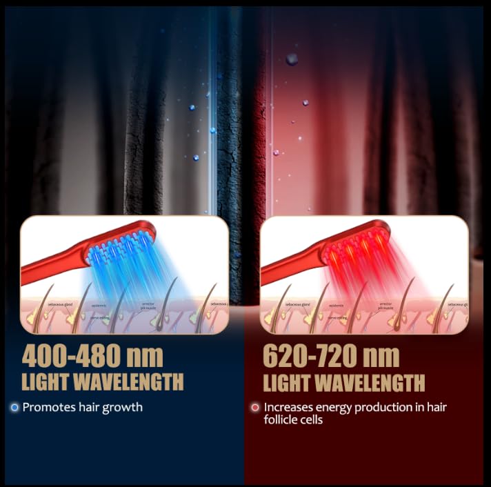 Laser Hair Growth Comb, Red Li - Industrial Laser Beam ulasan dan harga